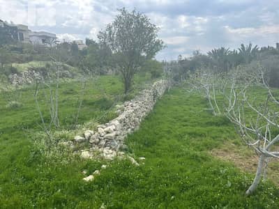For Sale Land in Barbara 1572m² ONLY for 420K للبيع أرض في بربارة