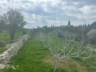 For Sale Land in Barbara 1572m² ONLY for 420K للبيع أرض في بربارة