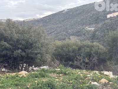 Land for sale in Chabtine–Batroun أرض للبيع في شبطين - البترون