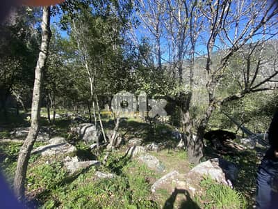 Land for sale in Salima Ref#BK117 أرض في صليما Land for sale in Salima Ref#BK117 أرض في صليما