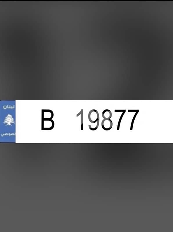 19877 B special number 0