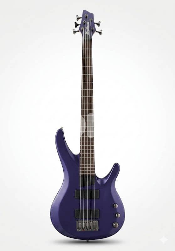 Washburn BB-5  5 strings bass 0