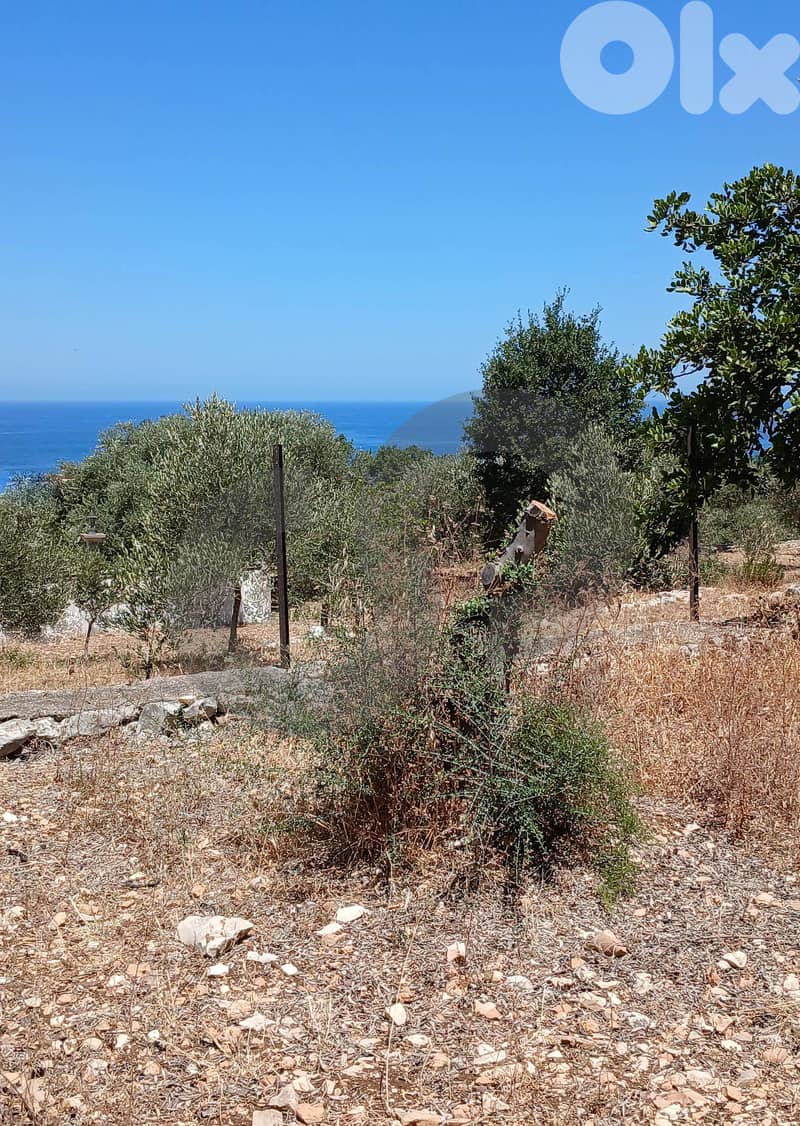 Sea View, 2 minutes from the highway, Thoum-Batroun/تحوم  REF#BR133783 1