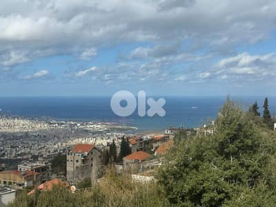 Prime Location Land For Sale In Ain Saadeh ارض للبيع في عين سعلدة