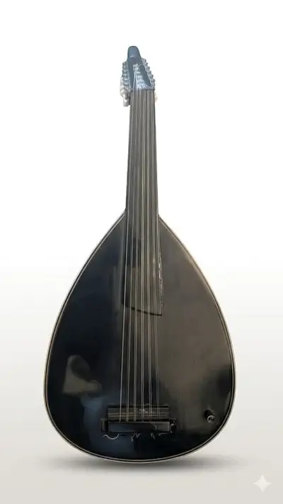 electric oud