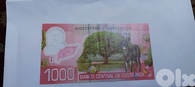 Costa Rica polymer Banknote 1000 Mil 0