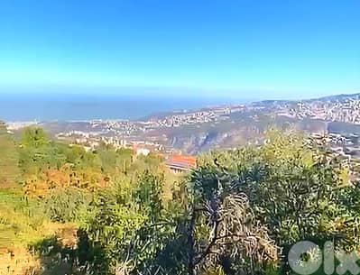 Land for sale in Bikfaya/ Amazing View