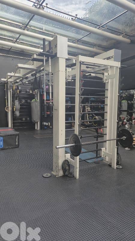 queenax functional training station 0