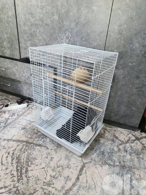 bird cage 0