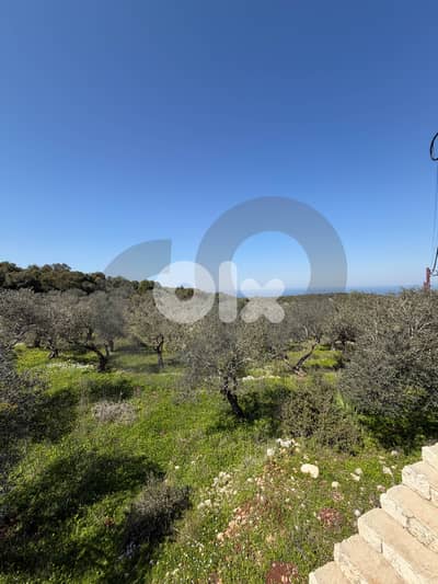 Prime Investment Opportunity, great deal, balamand/بلمند REF#KM133815