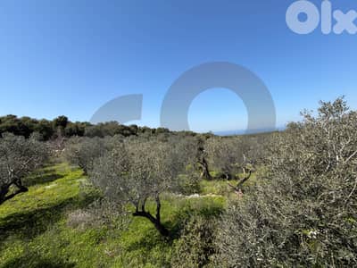 Prime Investment Opportunity, great deal, balamand/بلمند REF#KM133815