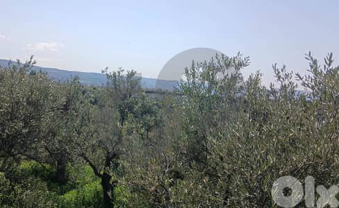 serene, picturesque setting, zakroun, koura/زكرون، كورة REF#BR133816