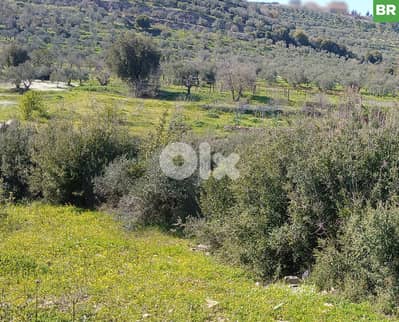 stunning mountain views, Bziza,Koura/بزيزة، كورة REF#BR133819