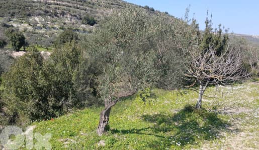 stunning mountain views, Bziza,Koura/بزيزة، كورة REF#BR133819