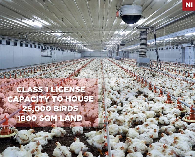 Fully equipped and operational,poultry farm, Jbeil /جبيل  REF#NI133828 0
