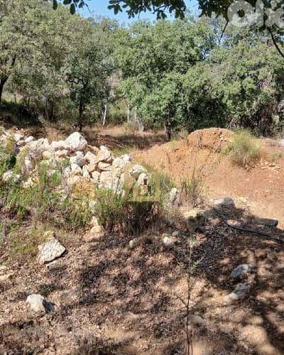 Land for sale in Araya RC29 أرض للبيع في عاريا