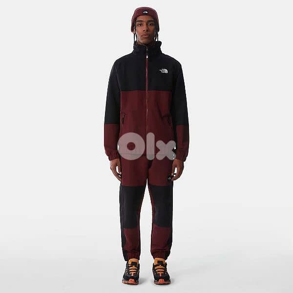 the north face men's jacket 3