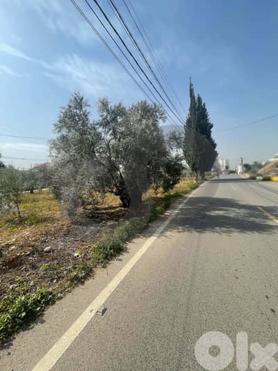 great deal, prime location, zgharta, Rashiine/رشعين REF#YN133885