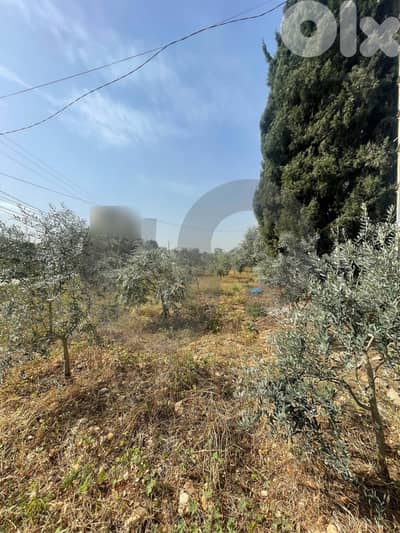 great deal, prime location, zgharta, Rashiine/رشعين REF#YN133885