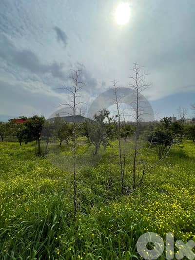Main road frontage,Zoning 5% , Merdashiyeh-zgharta/مردشيه REF#YN133893