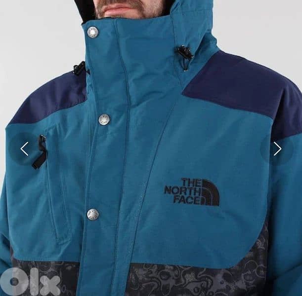 the north face RAGE jacket 1