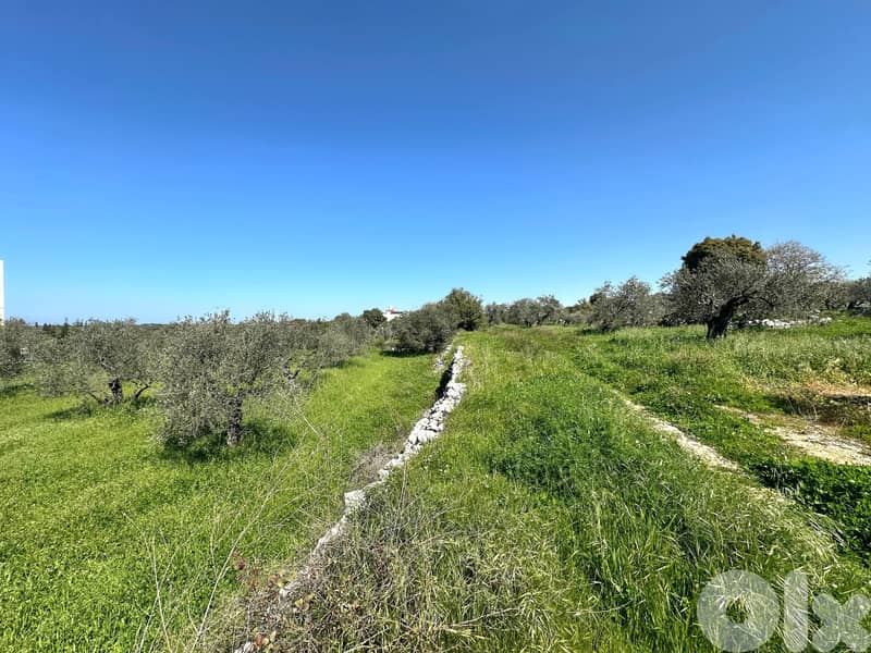 Land for sale in Hamat/ Nice view 0
