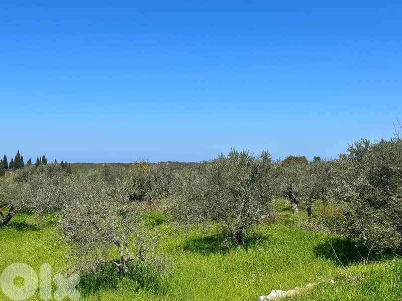 Land for sale in Hamat/ Nice view 1