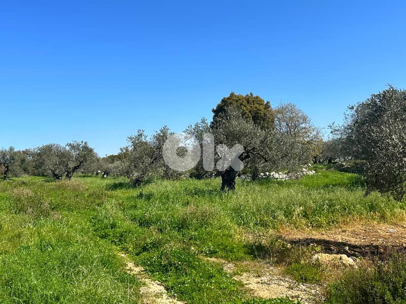 Land for sale in Hamat 0