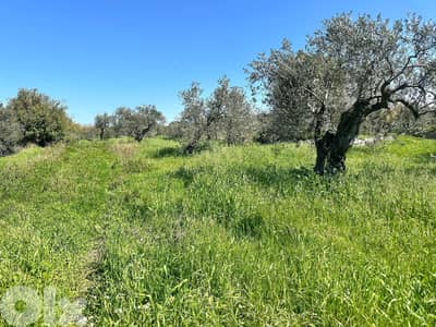 Land for sale in Hamat