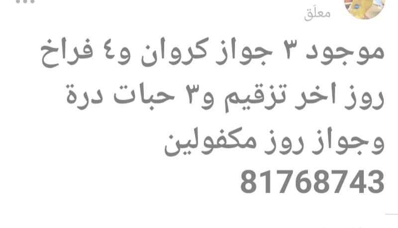 بيروت شياح 1