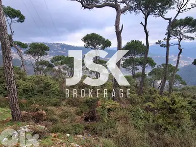 L20708 - A 1,110 SQM Land For Sale in Bolonia