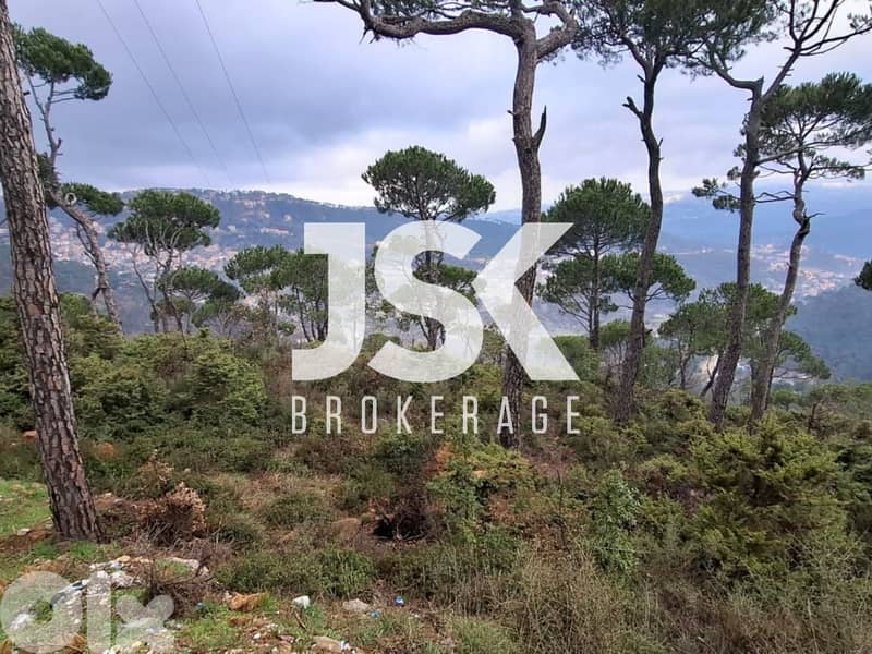 L20708 - A 1,110 SQM Land For Sale in Bolonia 0