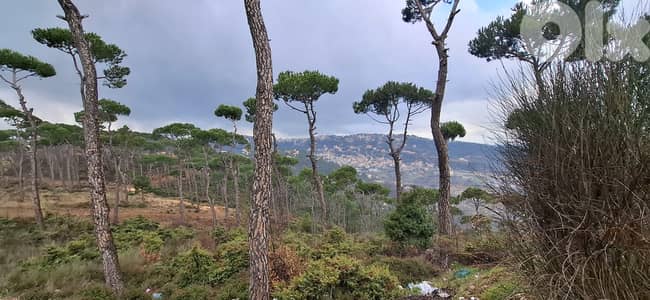 L20708 - A 1,110 SQM Land For Sale in Bolonia