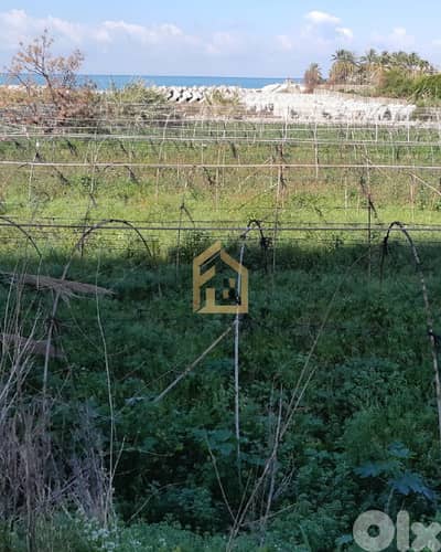 Land for sale in Kaslik GH298 أرض للبيع في كسليك