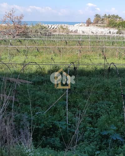 Land for rent in Kaslik GH298 أرض للإيجار في كسليك