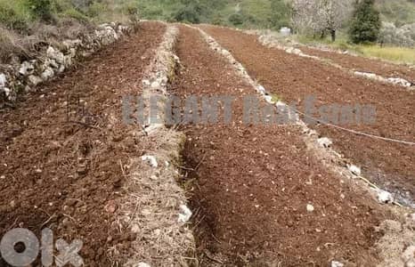 Agricultural Land for sale Naher el Dahab