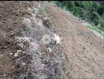 Agricultural Land for sale Naher el Dahab