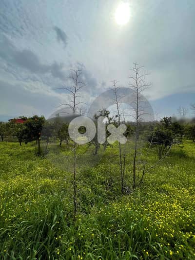 great deal, prime area, el merdashiyeh, zgharta/زغرتا REF#YN133985