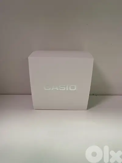 Casio vintage watch