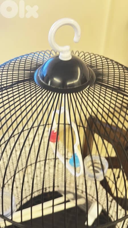 bird cage قفص عصفور 2