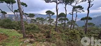 land for sale in Beit mery-أرض للبيع في بيت مري land for sale in Beit mery-أرض للبيع في بيت مري
