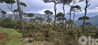 land for sale in Beit mery-أرض للبيع في بيت مري land for sale in Beit mery-أرض للبيع في بيت مري