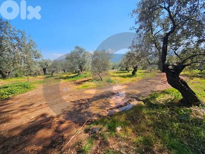 Land for Sale in Sahel Jdeideh – Zgharta/جديدة — زغرتا/REF#PC134047 !