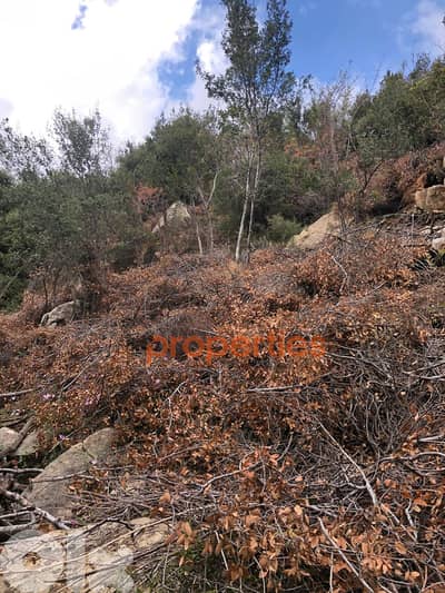 Land For sale in Mechane I Jbeil - CPJJA113