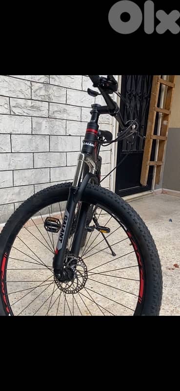 Bicycle 0