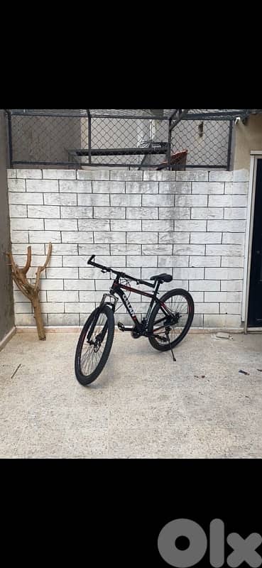 Bicycle 1
