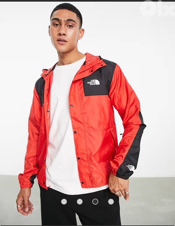 the north face seasonal mountain jacket 0