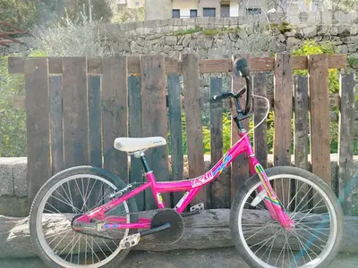 huffy 20