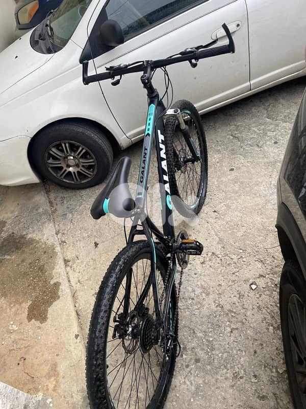 Galant Bike 5