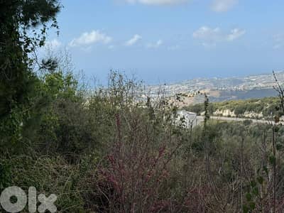 Land 1050m for sale in Breij ارض 1050م للبيع في بريج